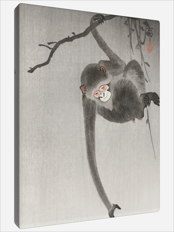 "Monkey"