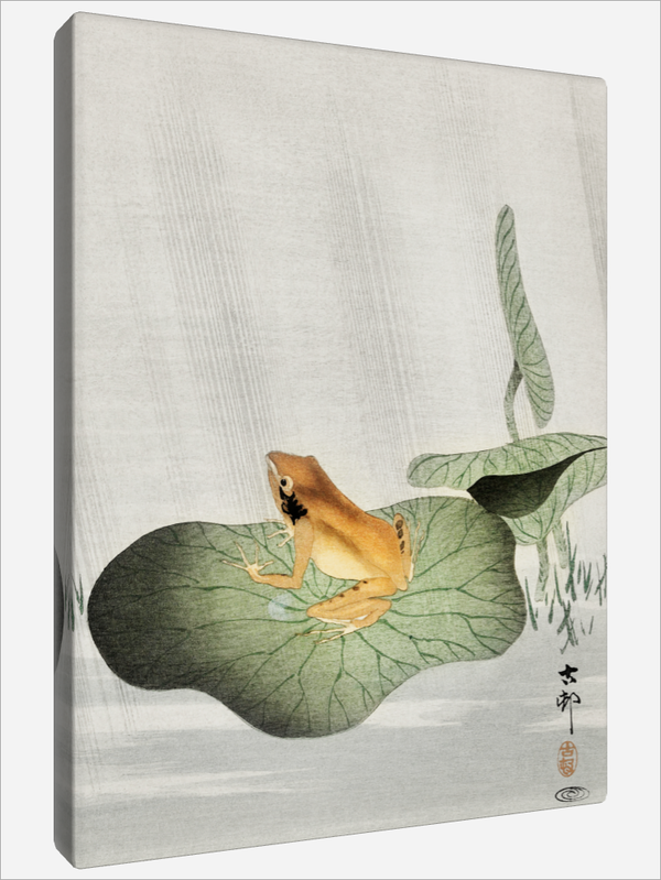 "Frog on Lotus Leaf"