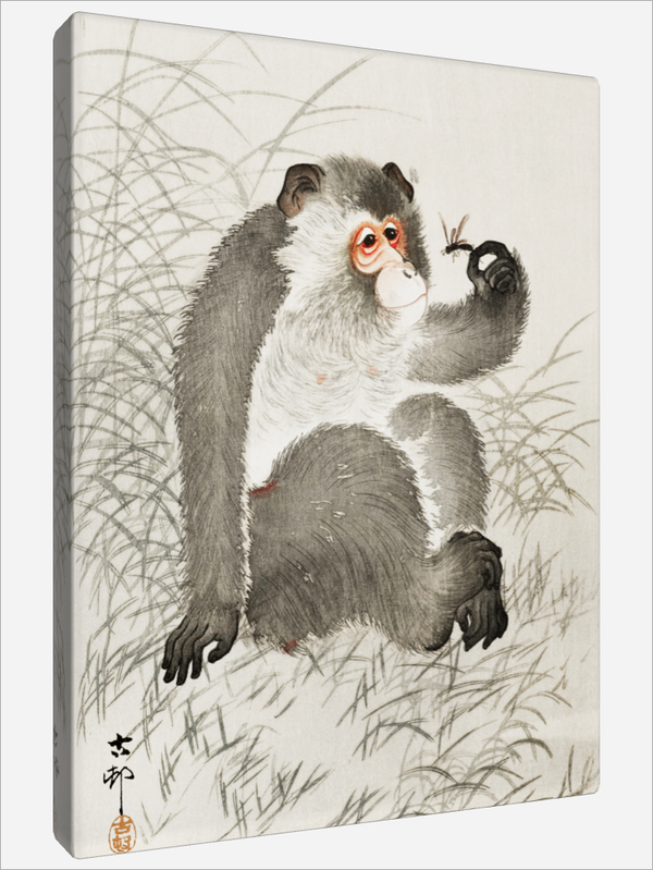 "Monkey with Insect"