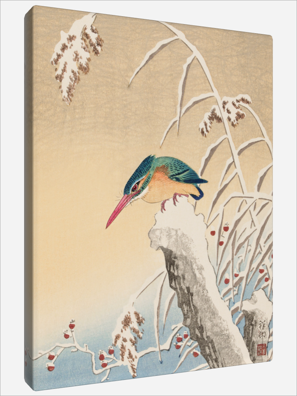 "Kingfisher in the Snow"