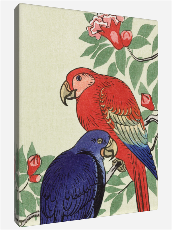 "Red and a Blue Parrot"
