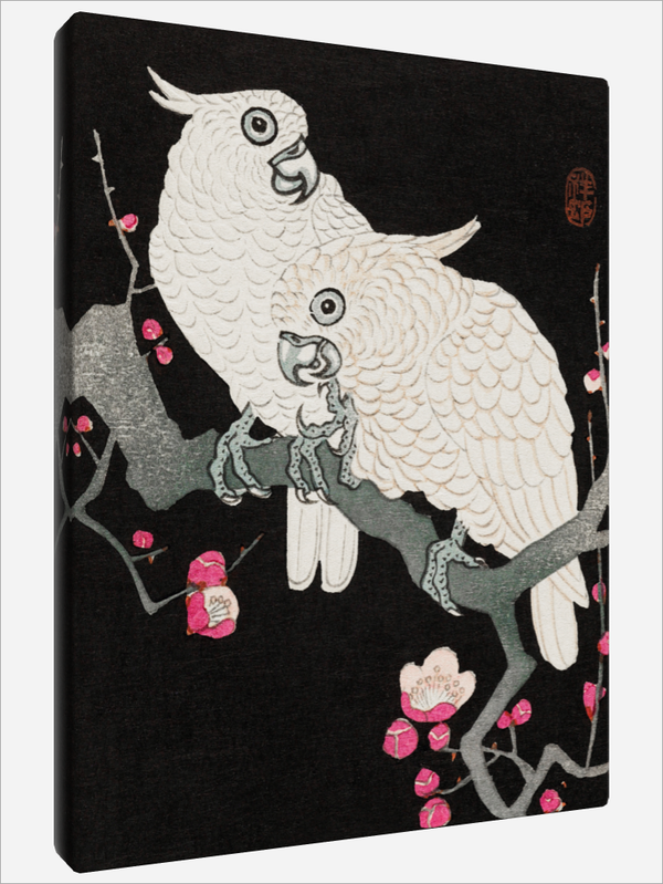 "Two Cockatoo"