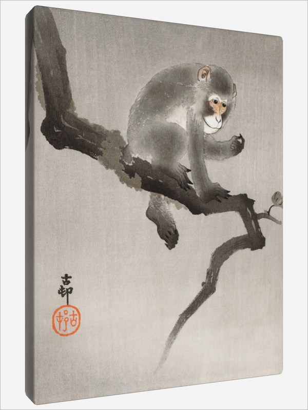 "Monkey in Cockatoo"
