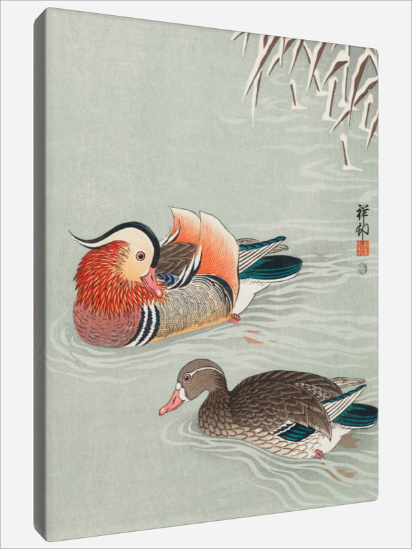 "Mandarin Ducks"