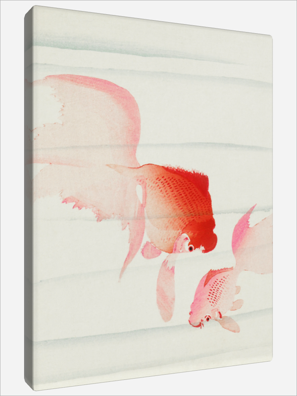 "Gold Fish"