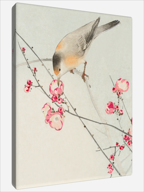 "Songbird"