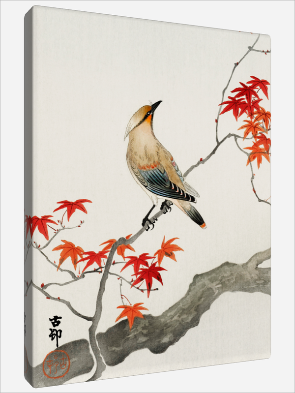 "Japanese Plague Bird"