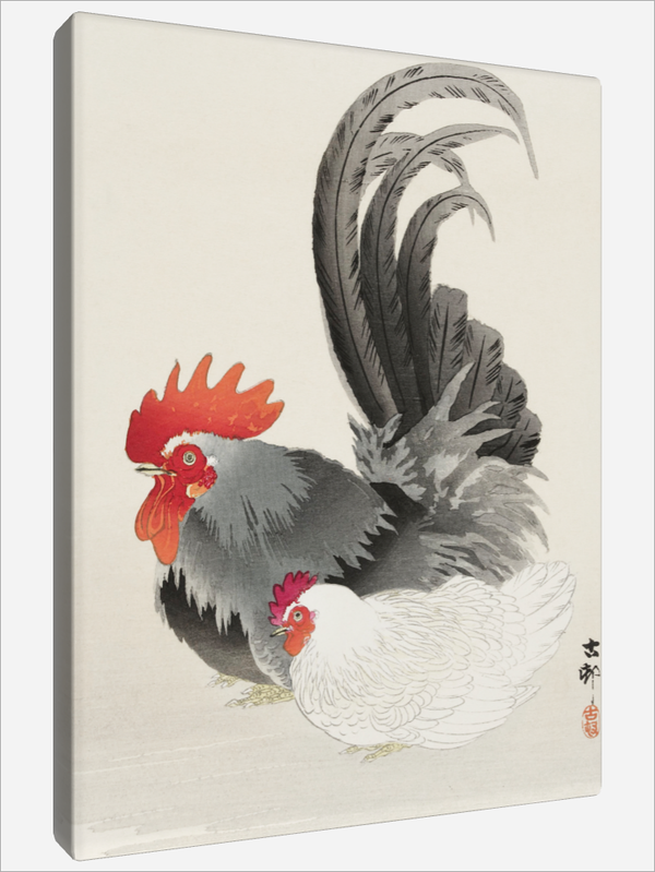 "Chicken and Cock"