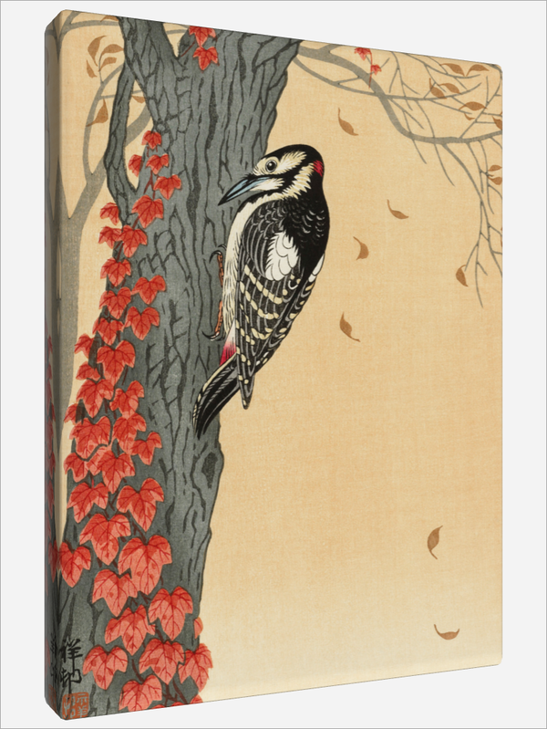 "Great Spotted Woodpecker"