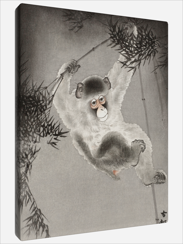 "Monkey"