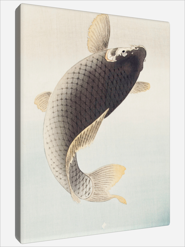 "A jumping Carp"