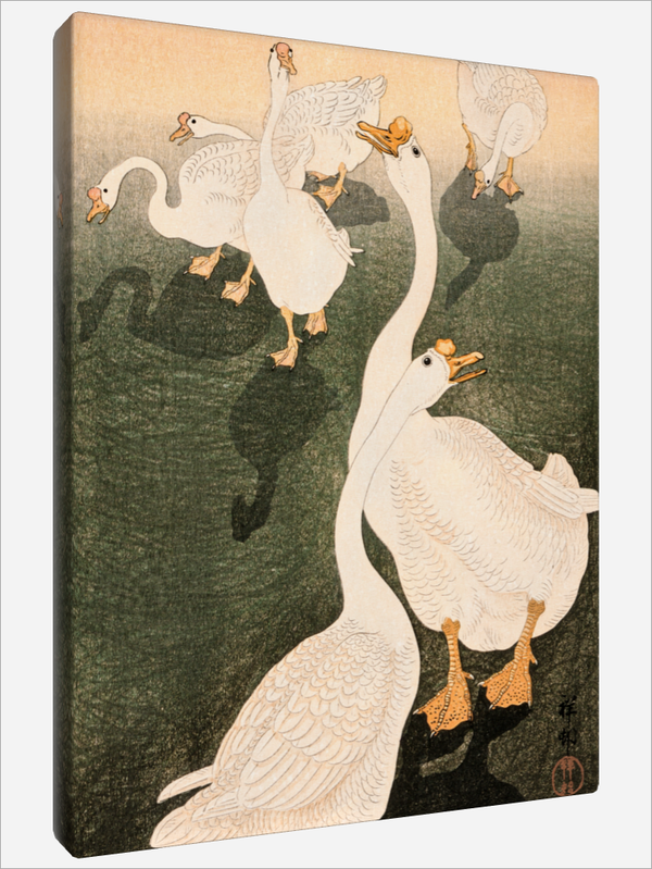 "Geese"