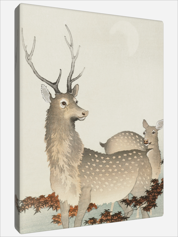 "Couple of Deers"