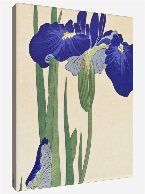 "Blue Irises"
