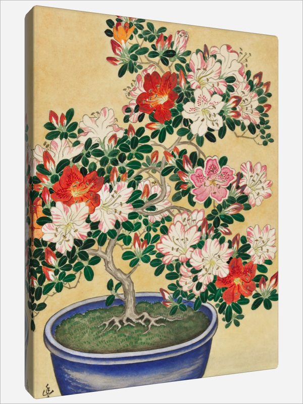 "Blooming Azalea"