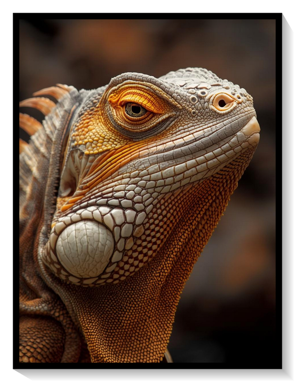 Iguana Aura