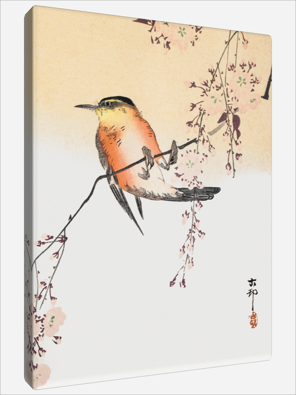 "Songbird"