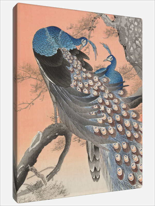 "Two Peacocks"