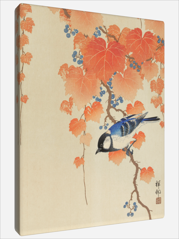 "On Paulownia Branch"