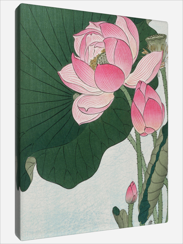 "Blooming Lotus"
