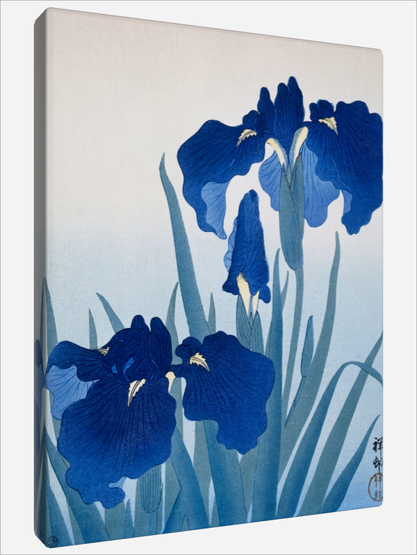 "Iris Flowers"