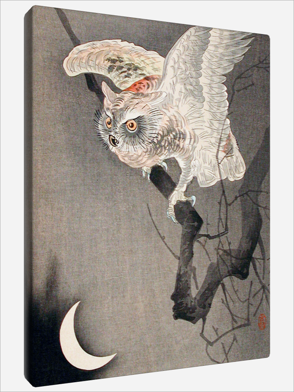 "Scops Owl in Moonlight"