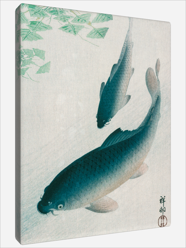 "Carp or Koi"