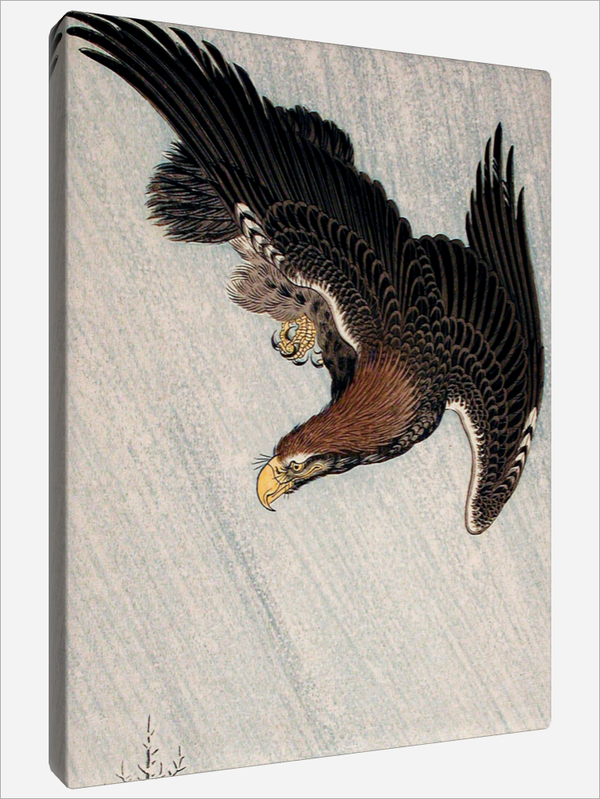"Eagle Flying in Snow"