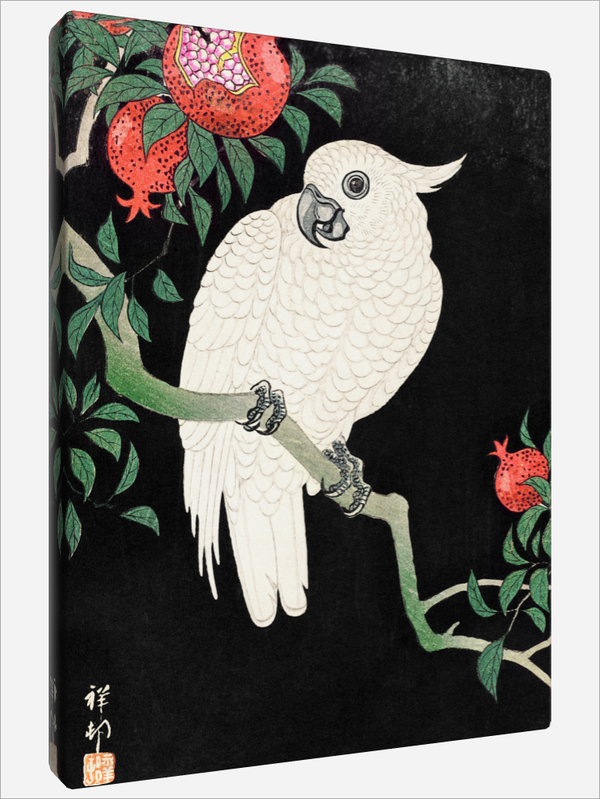 "Cockatoo and Pomegranate"