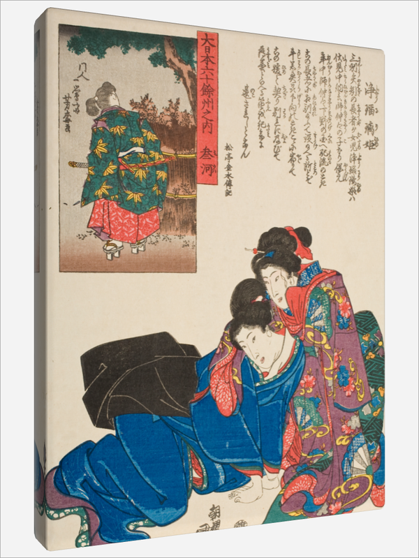 "Provinz Mikawa"