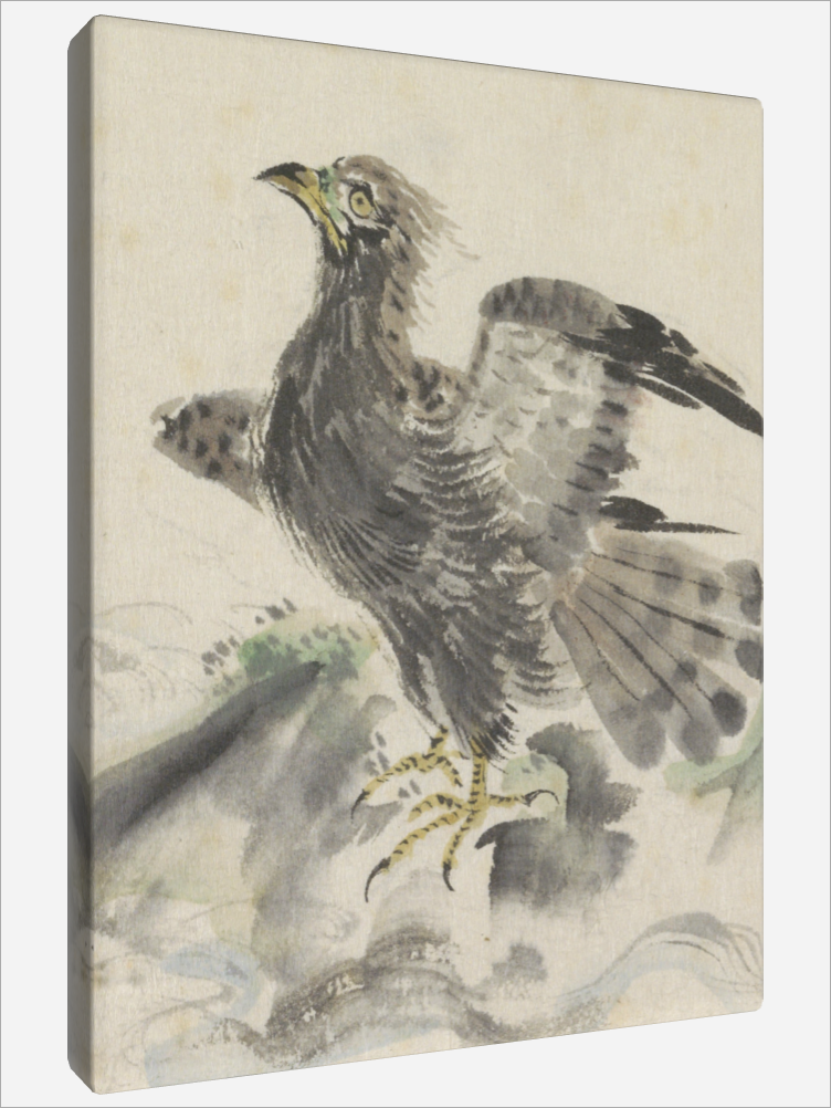 "Bird of prey on a Rock"