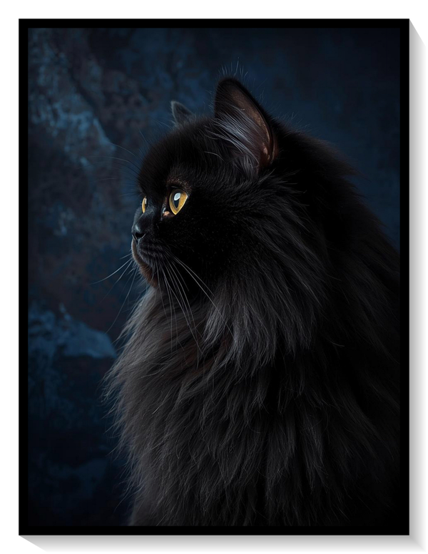 Black Persian Cat