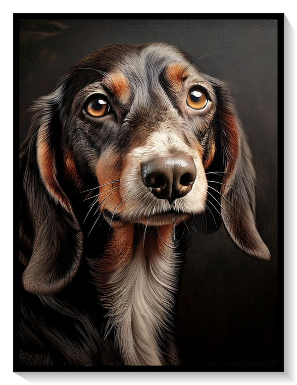 Dachshund