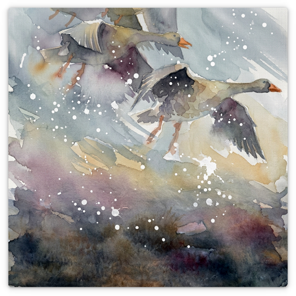 Geese Winter Sky