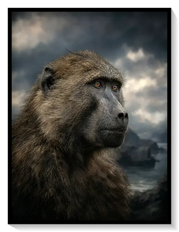Leinwand Kunstdruck | Africa