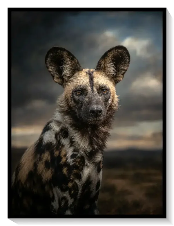 Leinwand Kunstdruck | Africa
