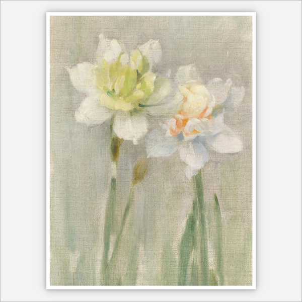 White Narcissi by H.Schjerfbeck
