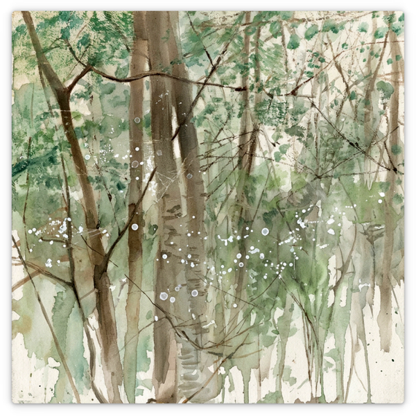Deciduous Forest II
