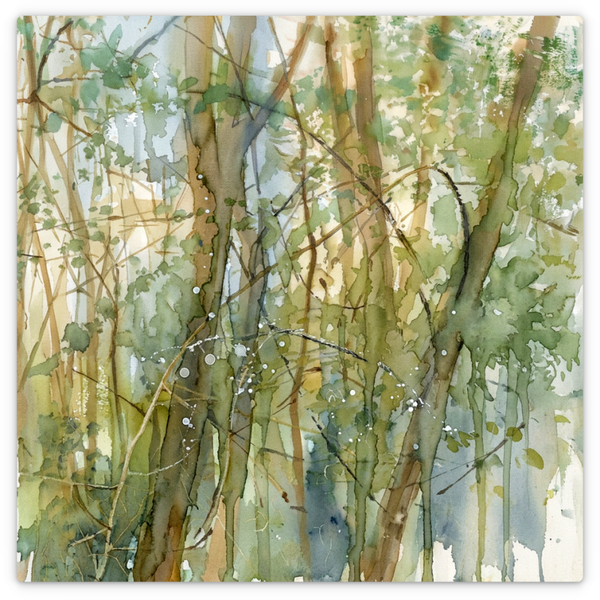 Deciduous Forest I