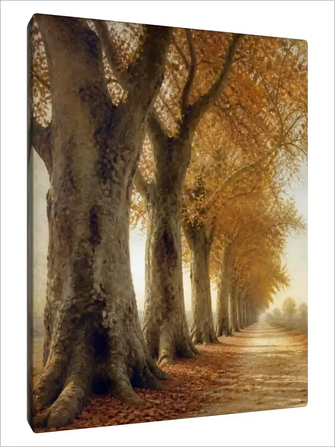 Leinwand Kunstdruck | Autumn