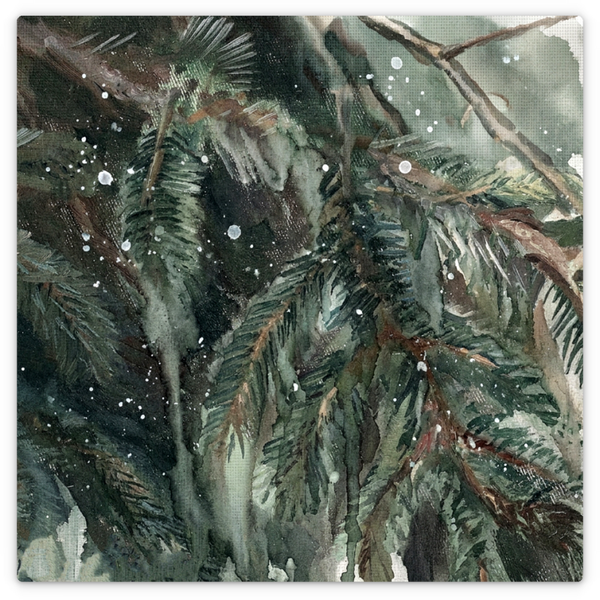 Fir Bough