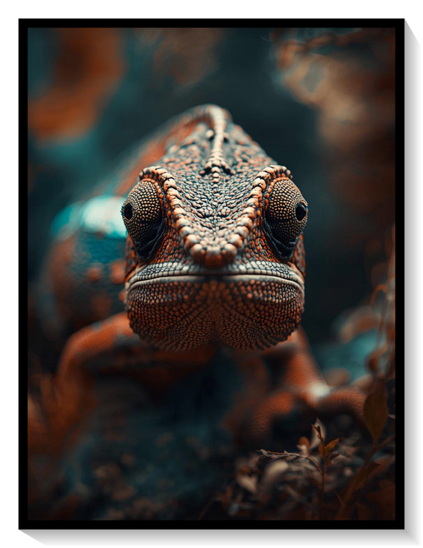 Furcifer Pardalis