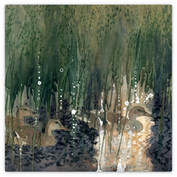Ducks in the Reeds