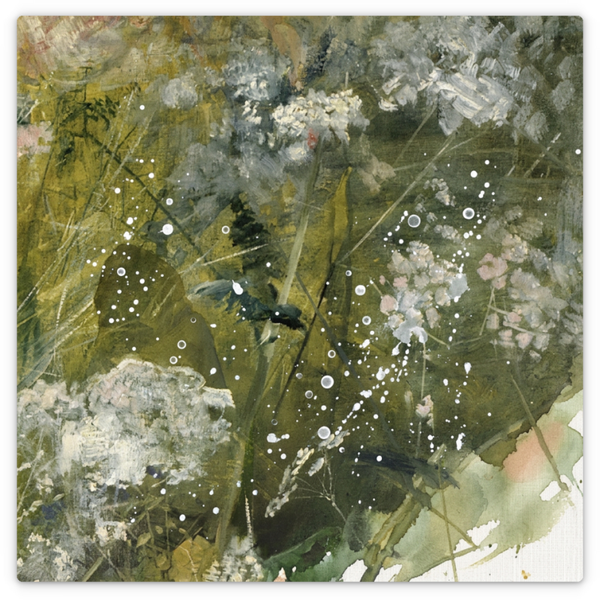 Summer Meadow