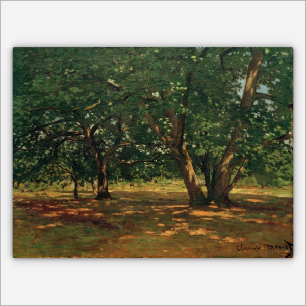 Wald von Fontainebleau