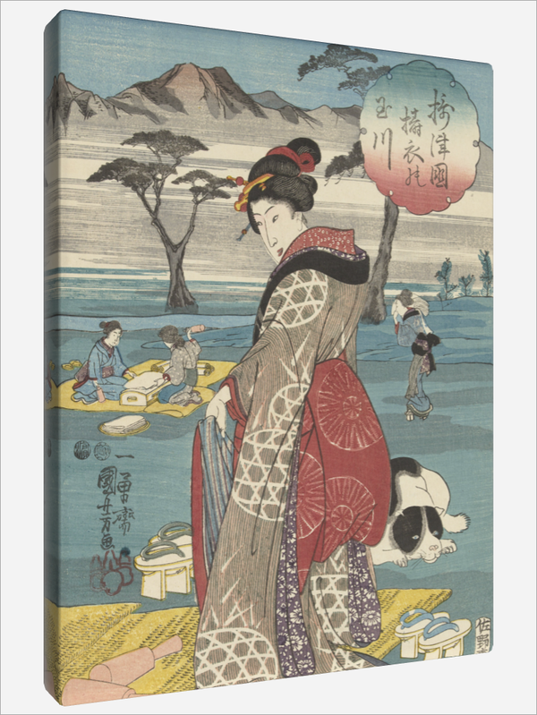 "The Toi Tama River"