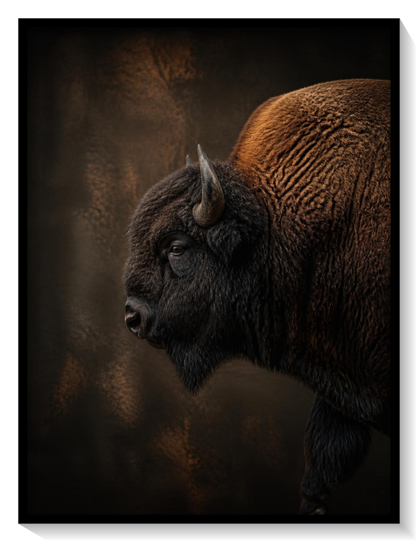 European Bison