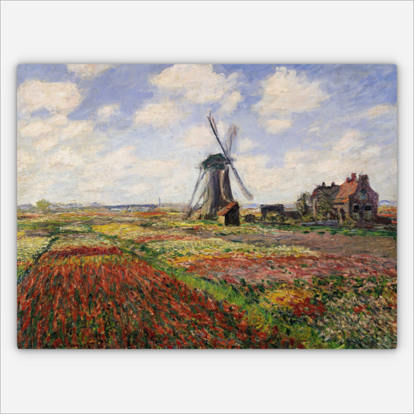 Tulpenfelder und Windmühle