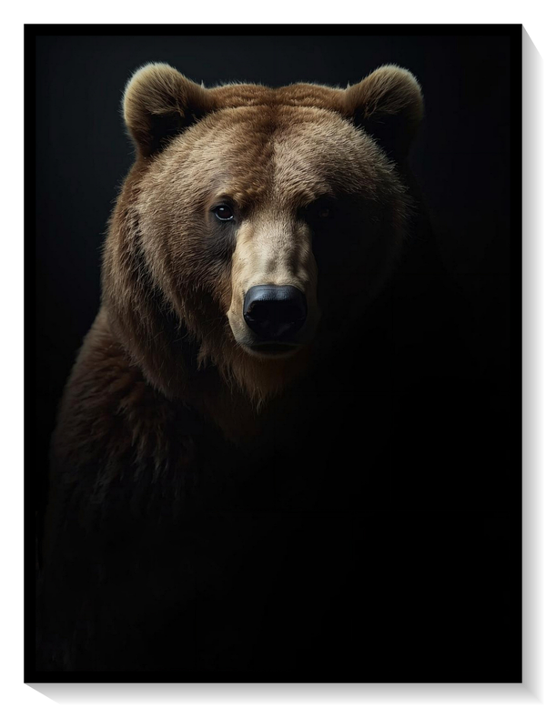 Brown Bear