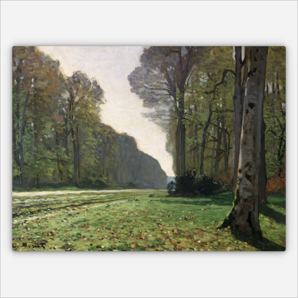 Der Weg nach Bas-Breau